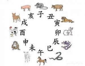 地支配生肖