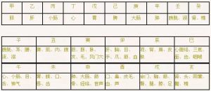 干支对应人体