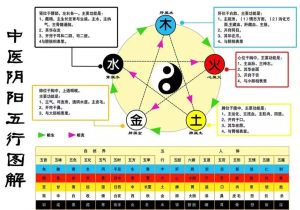 中医与阴阳五行